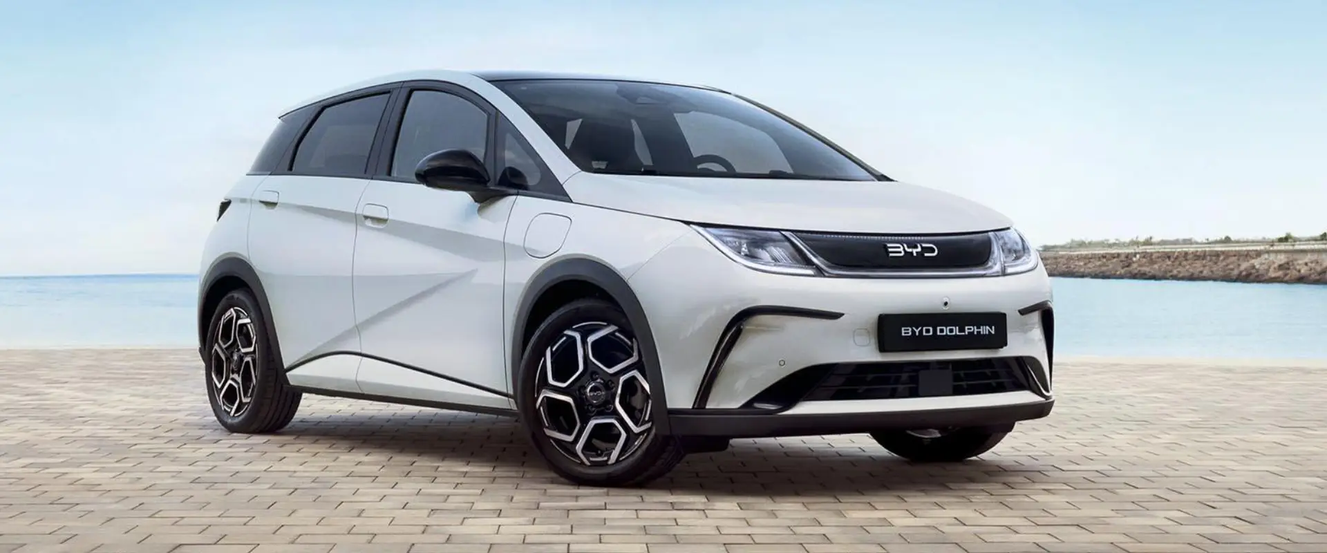 BYD DOLPHIN Car